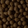 RawFooT_images/0001-06.png