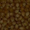 RawFooT_images/0002-13.png