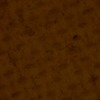 RawFooT_images/0004-40.png