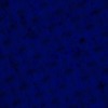 RawFooT_images/0004-46.png