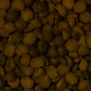 RawFooT_images/0007-37.png