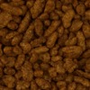 RawFooT_images/0008-14.png