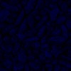 RawFooT_images/0008-46.png