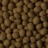RawFooT_images/0010-09.png