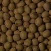 RawFooT_images/0010-10.png