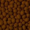 RawFooT_images/0010-37.png
