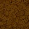 RawFooT_images/0015-40.png