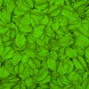 RawFooT_images/0015-45.png