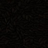 RawFooT_images/0016-04.png
