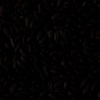 RawFooT_images/0016-06.png