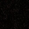 RawFooT_images/0016-11.png