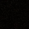 RawFooT_images/0016-13.png
