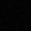 RawFooT_images/0016-39.png