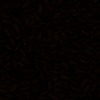 RawFooT_images/0016-40.png