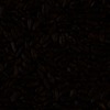 RawFooT_images/0016-42.png