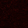 RawFooT_images/0016-44.png