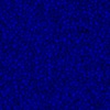 RawFooT_images/0017-46.png