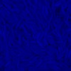 RawFooT_images/0020-46.png