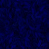 RawFooT_images/0022-46.png