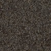 RawFooT_images/0023-01.png