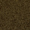 RawFooT_images/0023-14.png