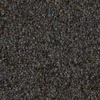 RawFooT_images/0023-21.png
