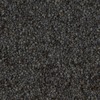 RawFooT_images/0023-22.png