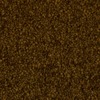 RawFooT_images/0023-26.png