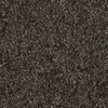 RawFooT_images/0023-31.png