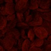 RawFooT_images/0025-44.png