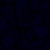 RawFooT_images/0025-46.png