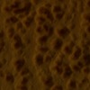 RawFooT_images/0030-34.png
