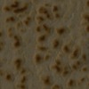 RawFooT_images/0030-41.png