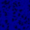 RawFooT_images/0030-46.png
