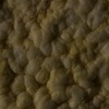 RawFooT_images/0031-05.png