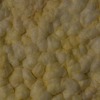 RawFooT_images/0031-10.png