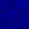 RawFooT_images/0031-46.png