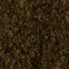 RawFooT_images/0032-08.png