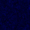 RawFooT_images/0032-46.png