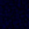 RawFooT_images/0033-46.png