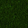 RawFooT_images/0034-45.png