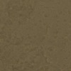 RawFooT_images/0036-13.png