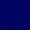RawFooT_images/0037-46.png