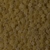 RawFooT_images/0038-08.png