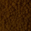 RawFooT_images/0038-34.png