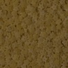 RawFooT_images/0038-35.png