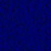 RawFooT_images/0038-46.png