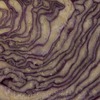 RawFooT_images/0041-20.png