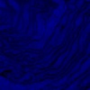 RawFooT_images/0041-46.png