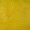 RawFooT_images/0042-22.png